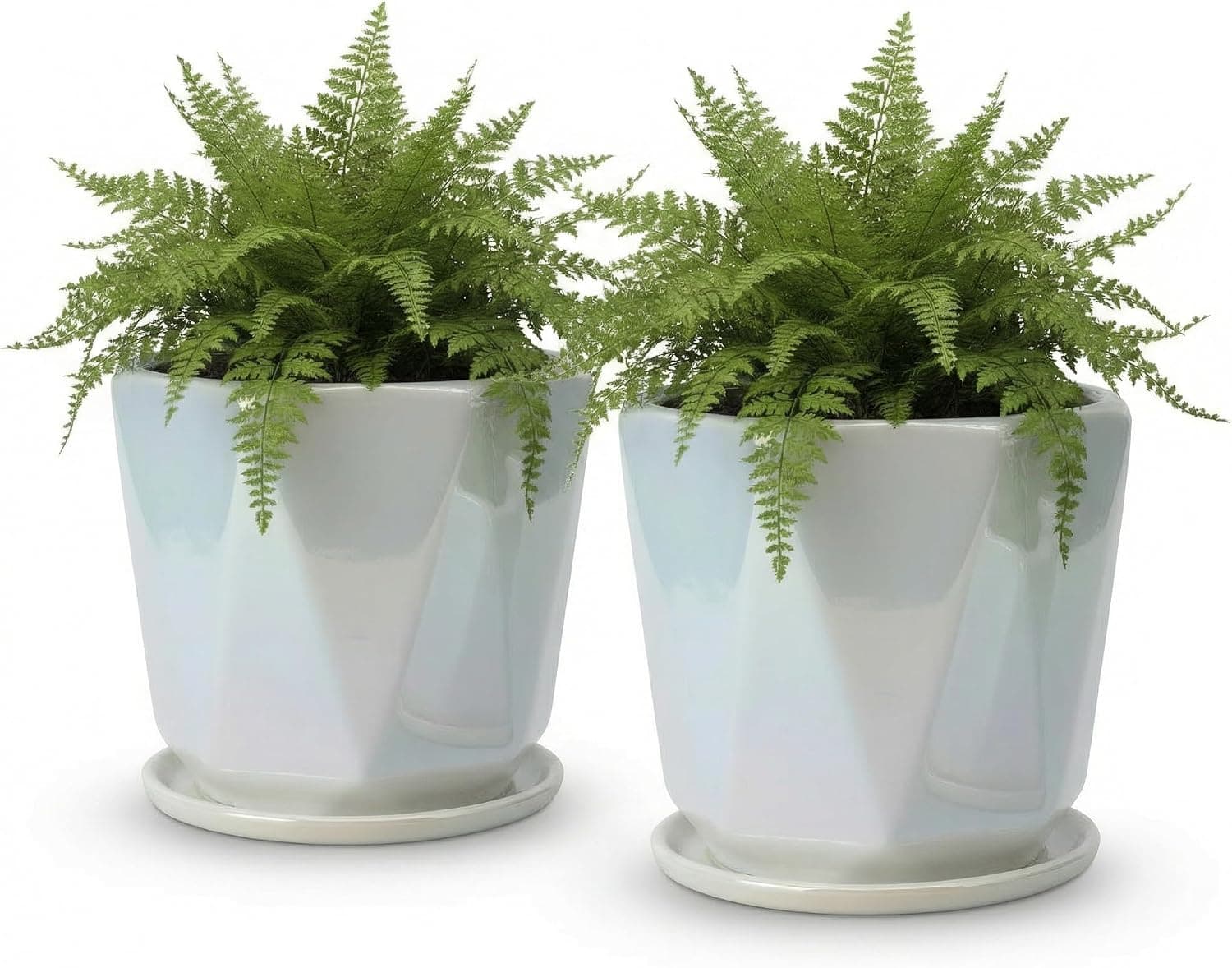 Two iridescent white ceramic plant pots with saucers and green plants